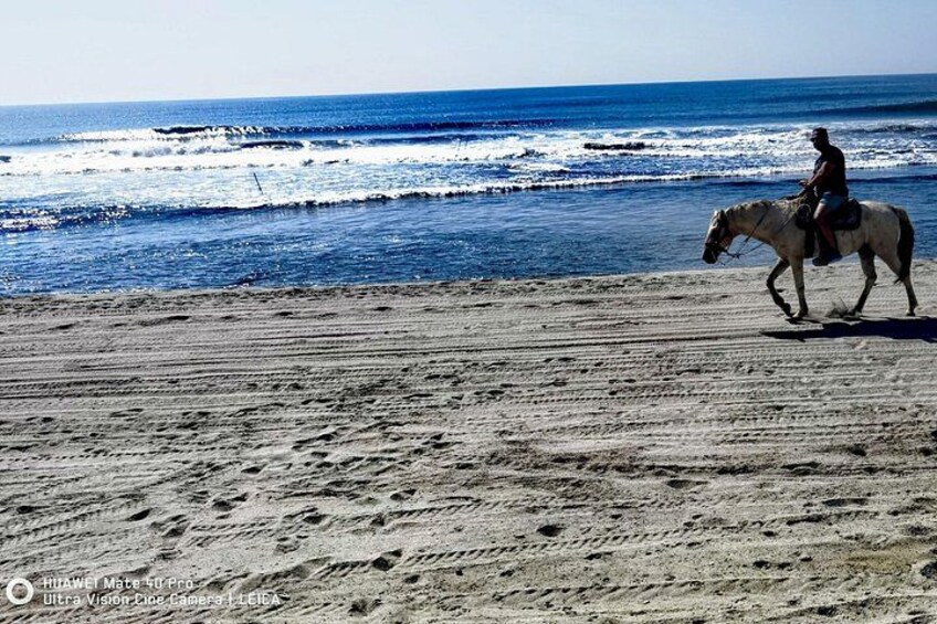 Afro-Mexican Village: Horseback Beach Ride, Crocs & Cliff Diver 3