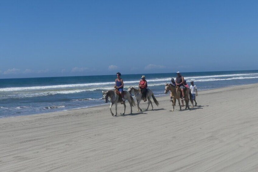 ⭐⭐AfroMexican Village BEACH HORSEBACK RIDING-Crocs-Cliff Divers &City Tour-Lunch