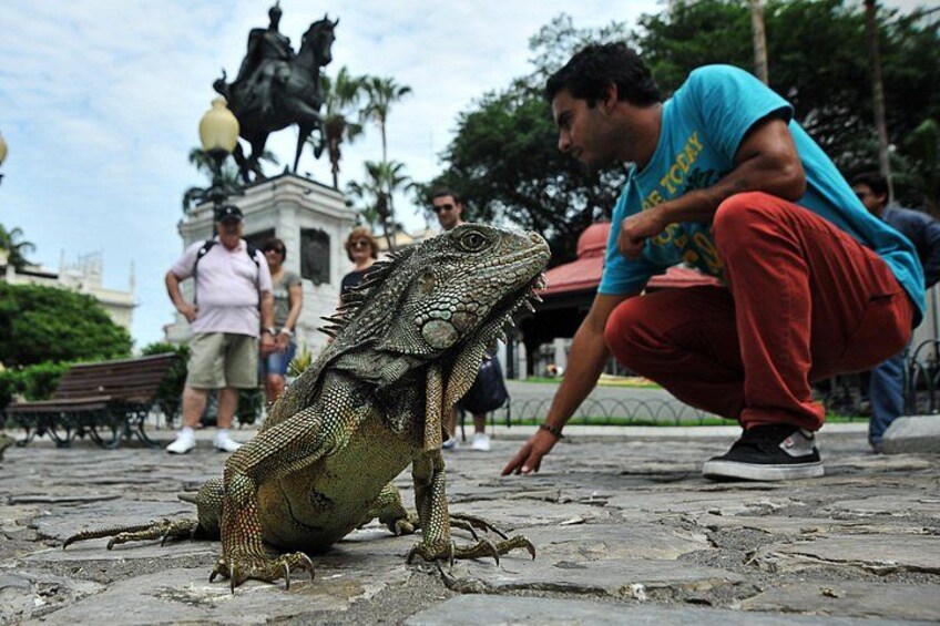 Private Guayaquil City Tour 1