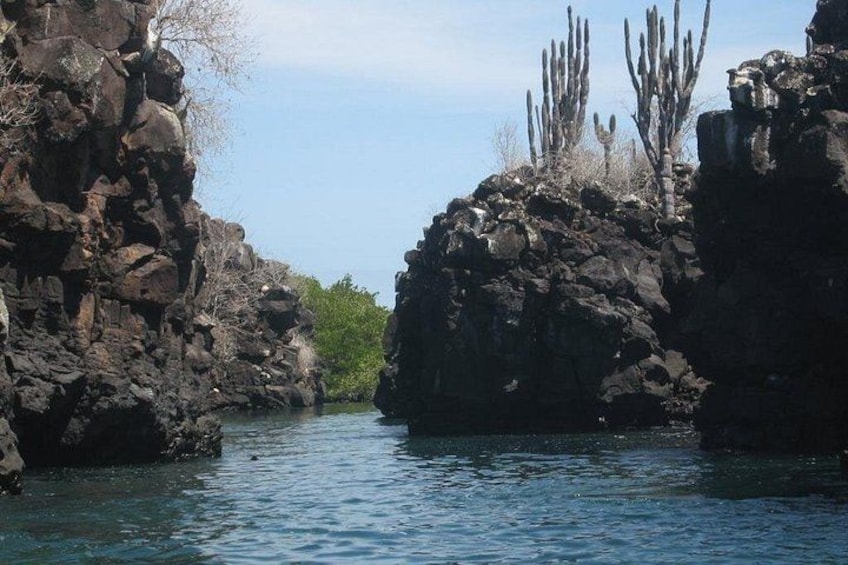 Bay Tour in Santa Cruz - Galapagos Islands 4