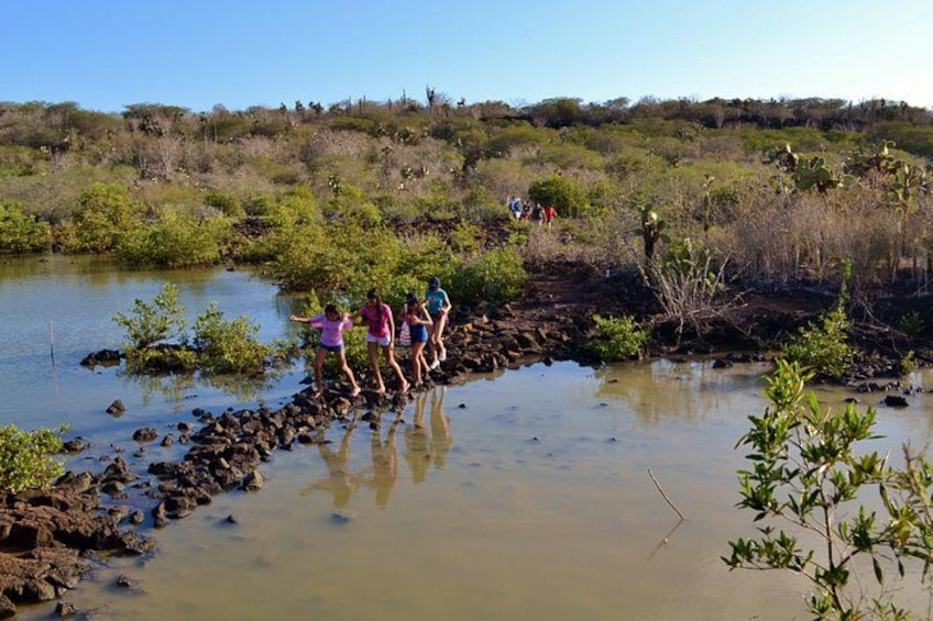 Bay Tour in Santa Cruz - Galapagos Islands 5