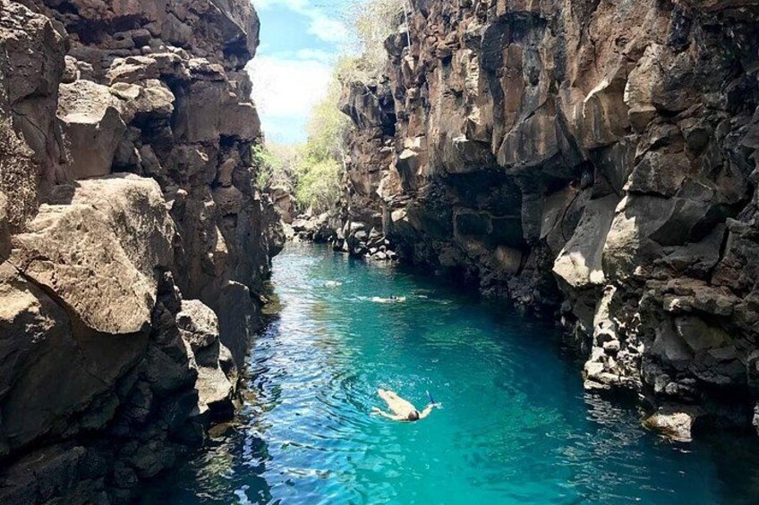 Bay Tour in Santa Cruz - Galapagos Islands 3