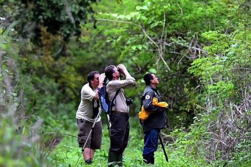 Un grupo de personas en un área boscosa, algunas sosteniendo binoculares. 1
