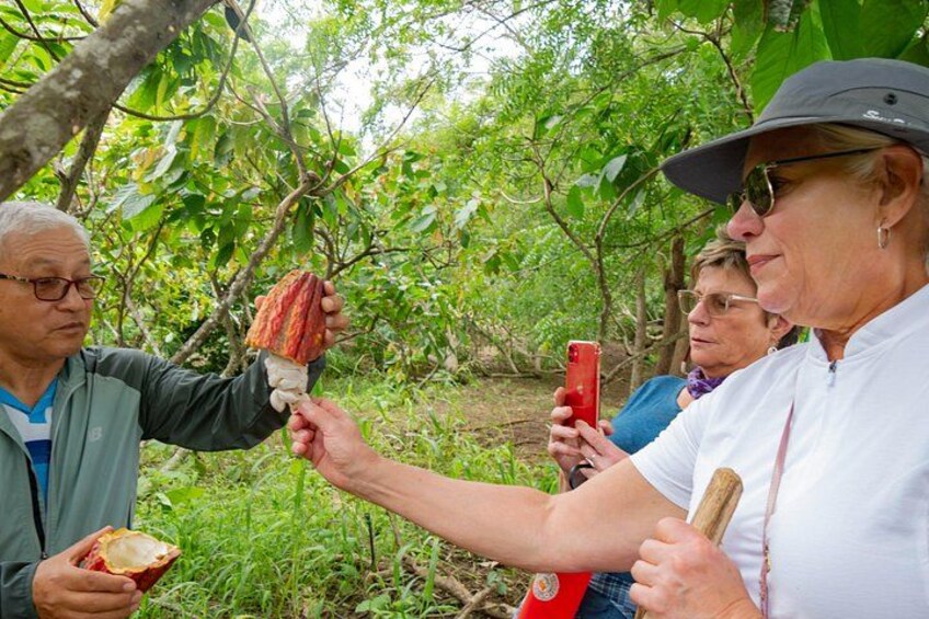 Un grupo de personas en un área boscosa, una sosteniendo un objeto rojo, otra un teléfono inteligente, y una tercera una fruta. 1