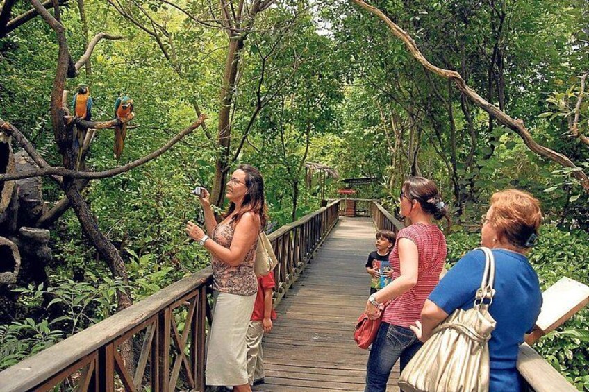 Historical Park of Guayaquil 4