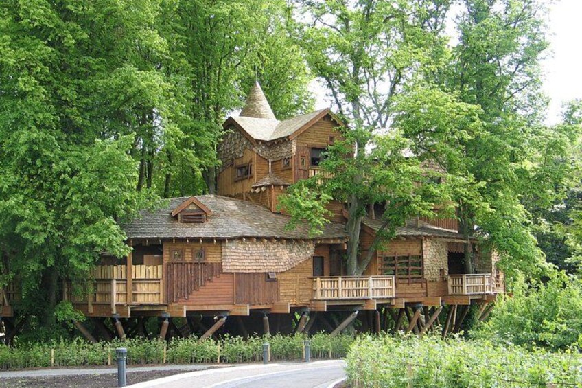 A wooden house built on stilts surrounded by lush greenery. 2