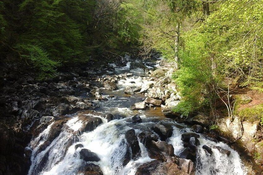 Une cascade entourée d’une forêt dense. 3