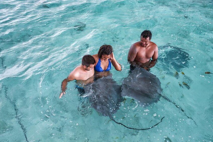 Bora Bora Eco Snorkel Cruise Including Snorkeling with Sharks and Stingrays 2