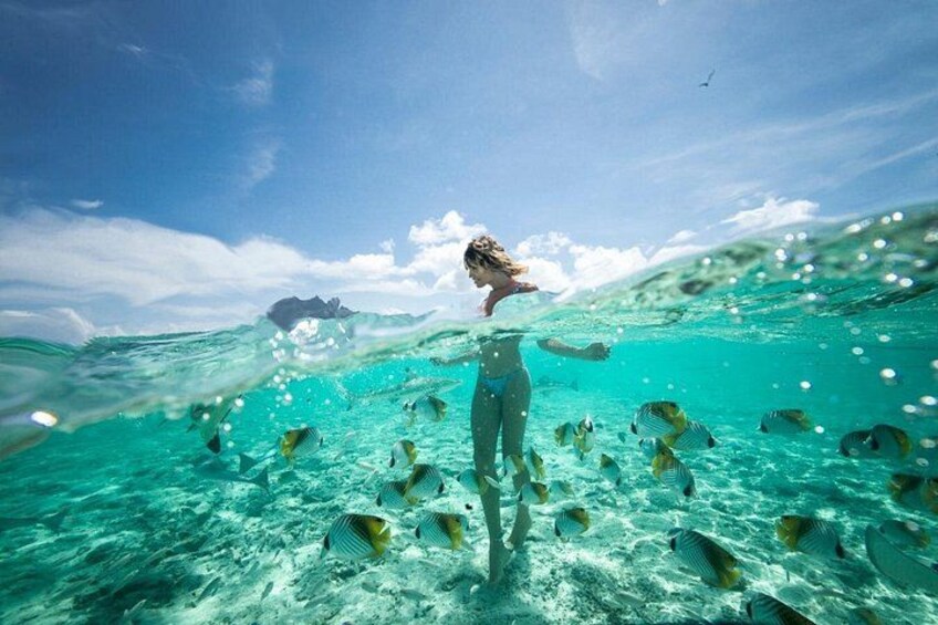 Bora Bora Eco Snorkel Cruise Including Snorkeling with Sharks and Stingrays 3