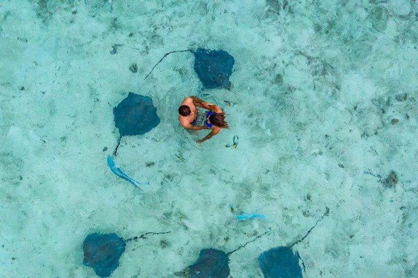 Bora Bora Eco Snorkel Cruise Including Snorkeling with Sharks and Stingrays 4