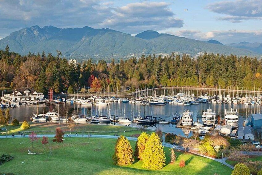 Private Vancouver City Tour & Capilano Bridge — Pickup Included 1
