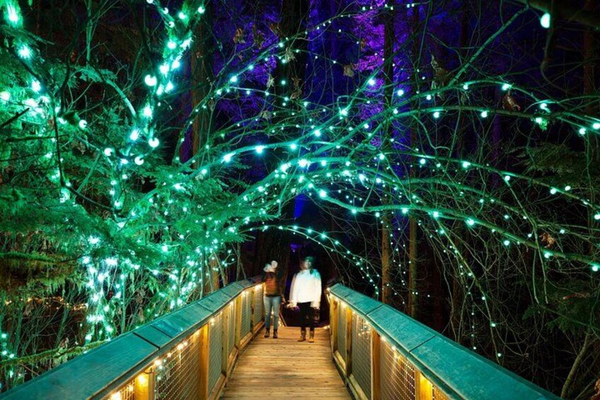 Private Vancouver City Tour & Capilano Bridge — Pickup Included 2
