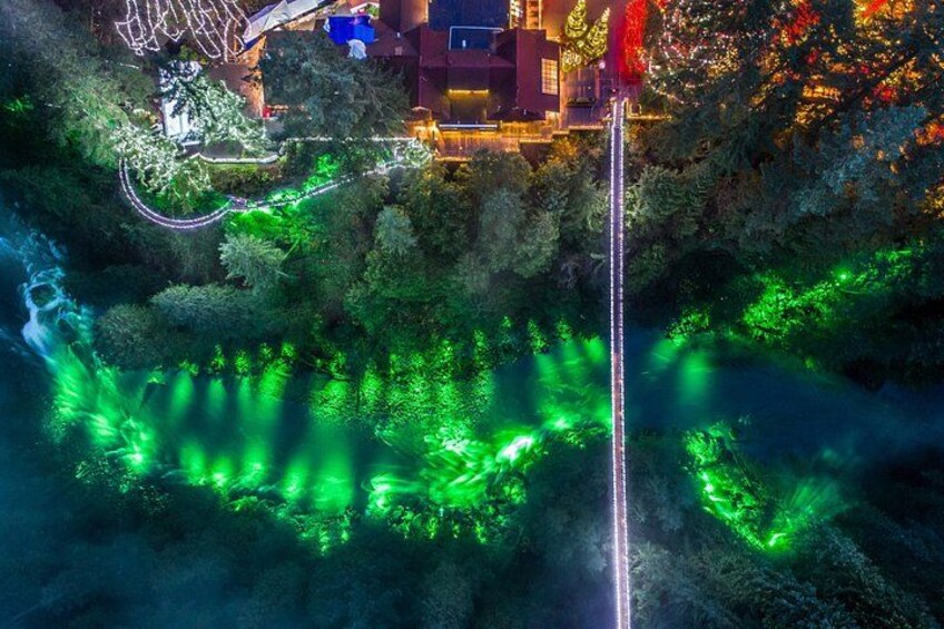 Private Vancouver City Tour & Capilano Bridge — Pickup Included 4