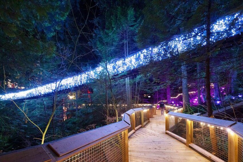 Private Vancouver City Tour & Capilano Bridge — Pickup Included 3