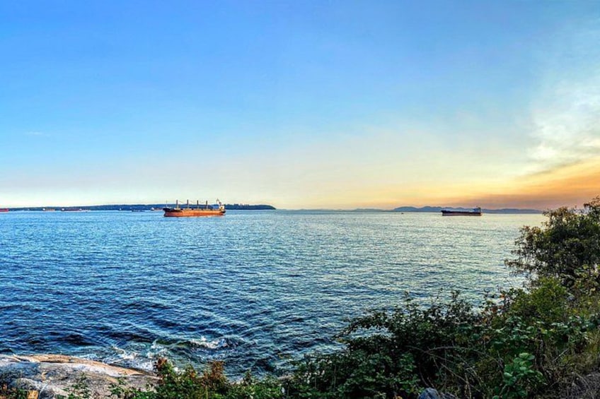 Tofino Lookout 2