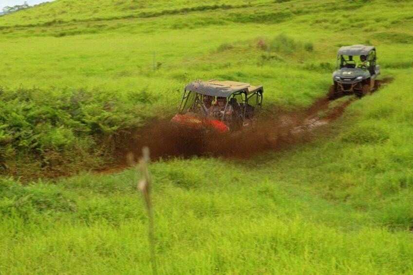 Umauma Falls Deluxe ATV Waterfall and Swim Experience 2
