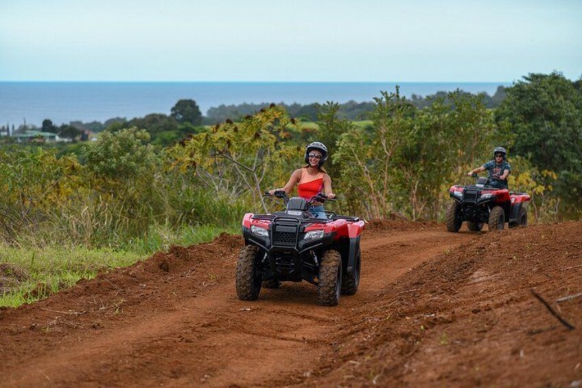 Umauma Falls Deluxe ATV Waterfall and Swim Experience 3