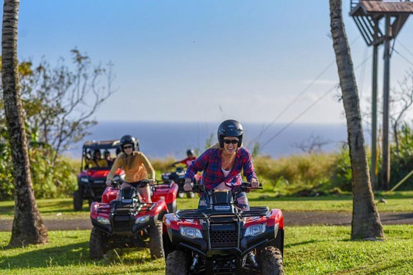 Umauma Falls Deluxe ATV Waterfall and Swim Experience 4