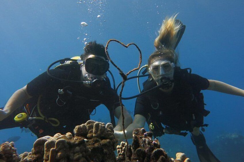 Enjoy a romantic Private Dive for 2 on your honeymoon! 2