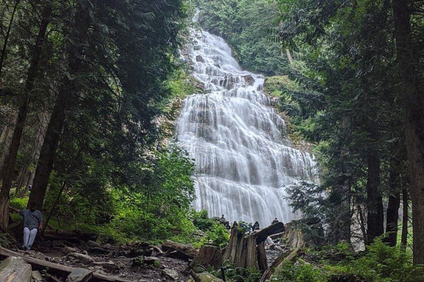 Une cascade entourée d’une forêt dense. 3