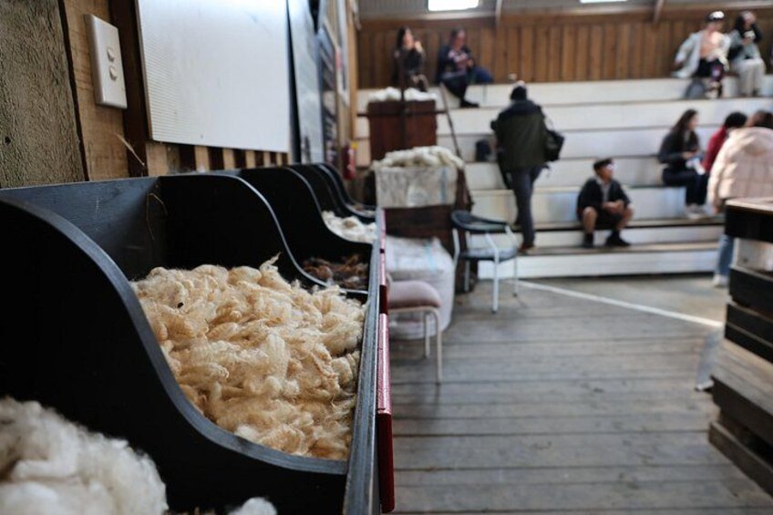 Sheep World Country Tour from Auckland 5