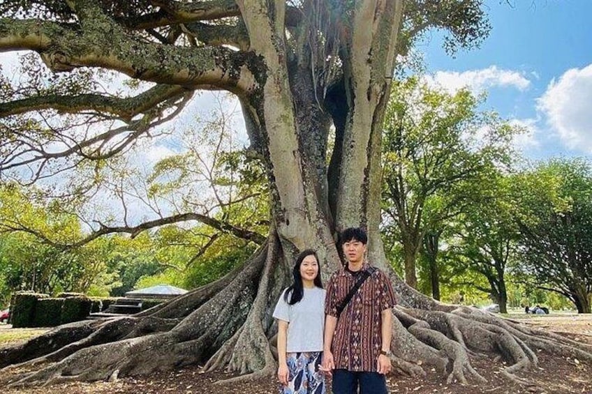 A large tree with extensive roots, a person in a patterned shirt, and another in a white top. 3
