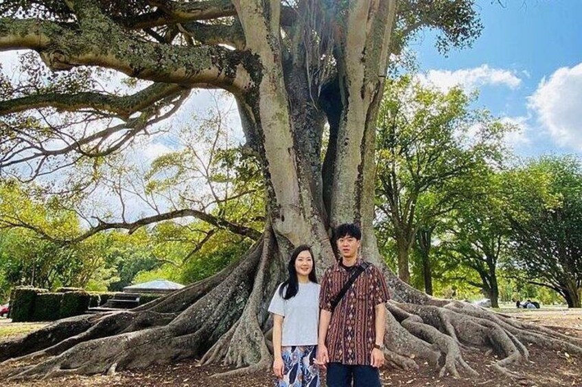 A large tree with extensive roots, a person in a patterned shirt, and another in a white top. 2
