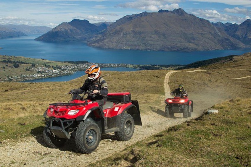 Queenstown Bike Up Queenstown Hill 8 3