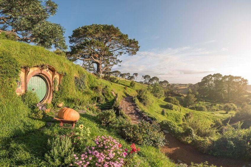 Private Luxury Tour to Hobbiton Movie Set & Waitimo Glowworm Cave 2