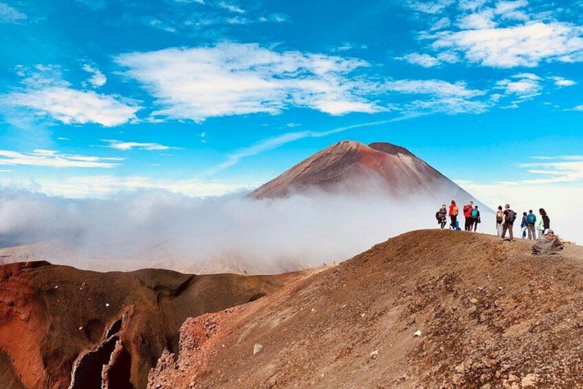 20 Day New Zealand Explorer (Auckland to Christchurch) 5