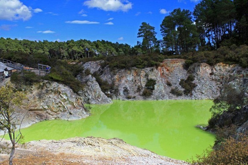 Blue Springs, Redwood Forest, Waiotapu Geothermal Park day Tour 1