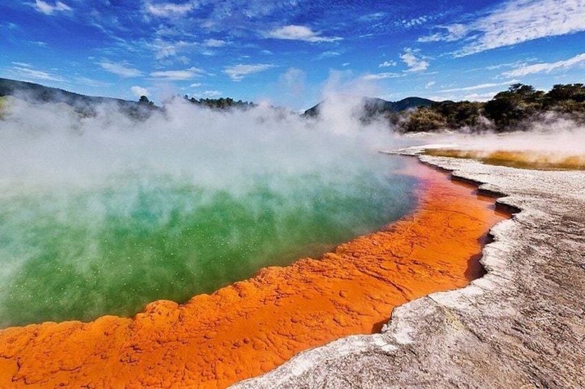 Blue Springs, Redwood Forest, Waiotapu Geothermal Park day Tour 2