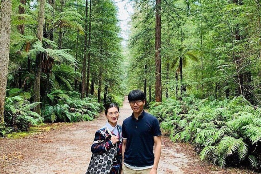 Blue Springs, Redwood Forest, Waiotapu Geothermal Park day Tour 3