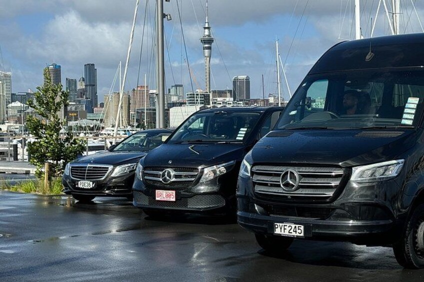 Three black Mercedes-Benz vans parked in a marina with a city skyline in the background. 3