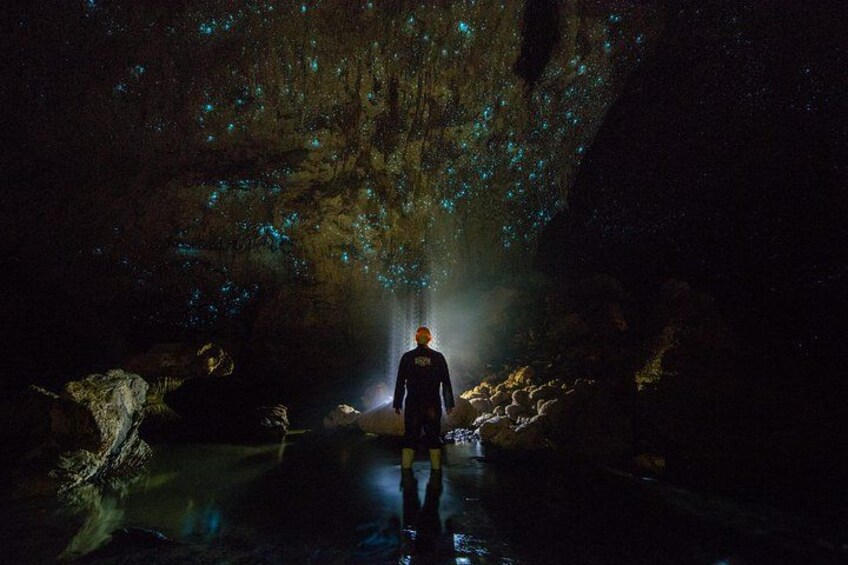 Waitomo Glowworm Cave 5