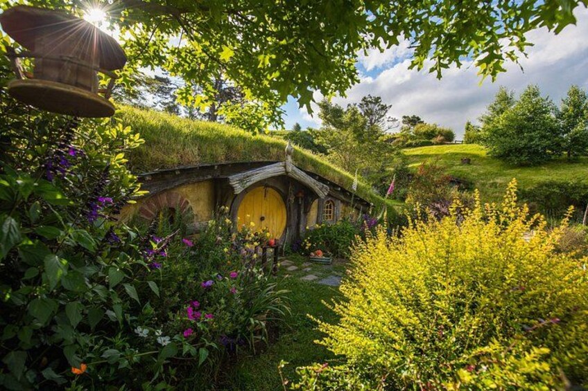 Private Tour: Hobbiton & Waitomo Glowworm Cave Experience 2