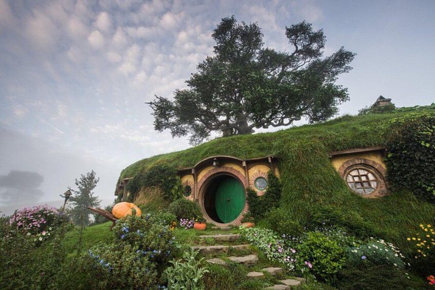 Private Tour: Hobbiton & Waitomo Glowworm Cave Experience 4