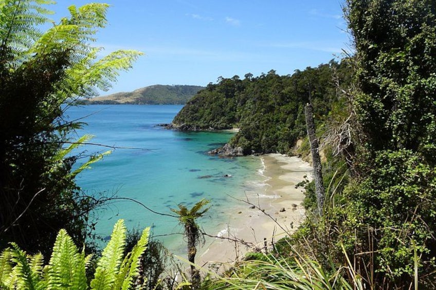 11 Day Deep South Tour (Christchurch to Christchurch) 2