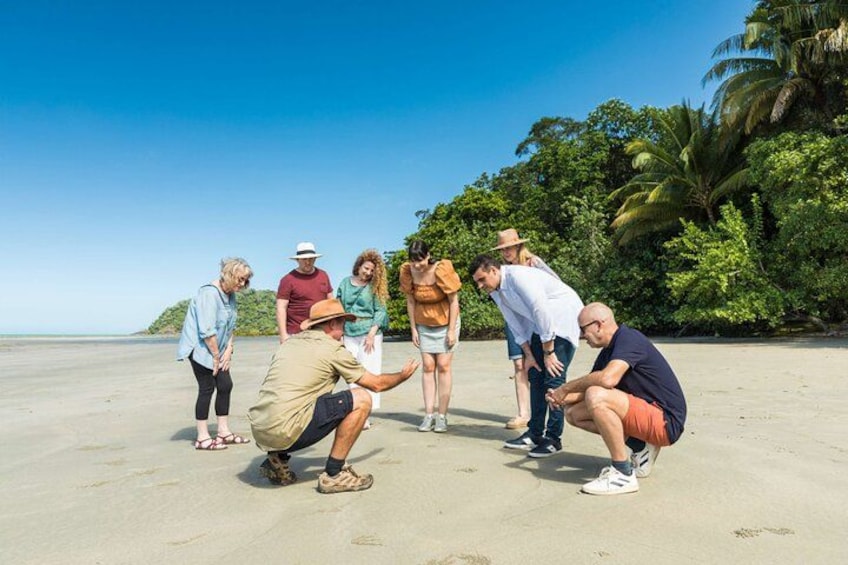 Cape Tribulation 2
