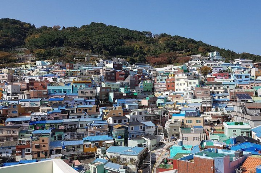 A densely packed hillside town with colorful buildings and a forested hill in the background. 2