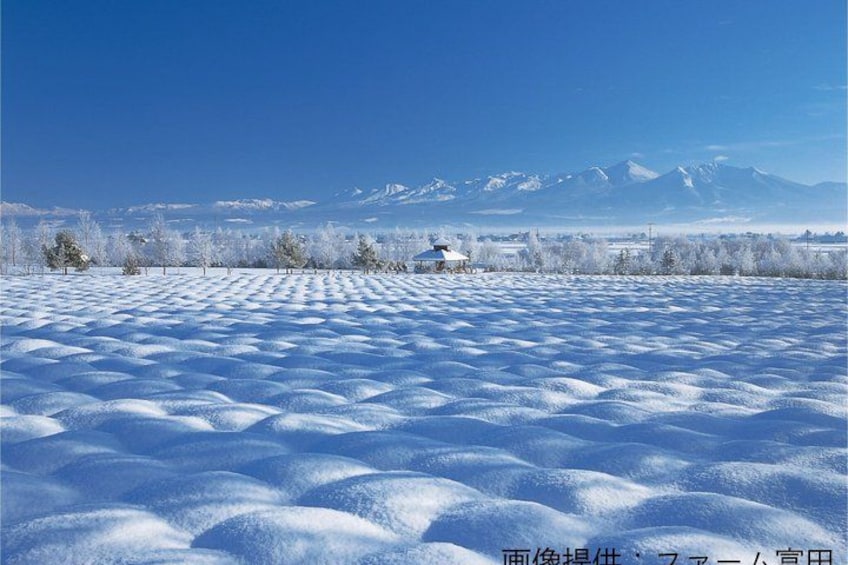 A snow-covered field with a small building and snow-covered trees in the background. 4