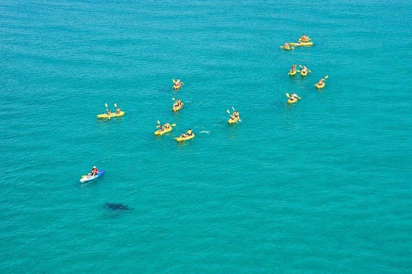 A group of kayaks on turquoise water. 3