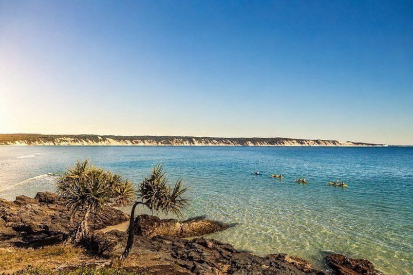 Epic Kayak With Dolphins & Wildlife - 4WD Beach Adventure Noosa 3