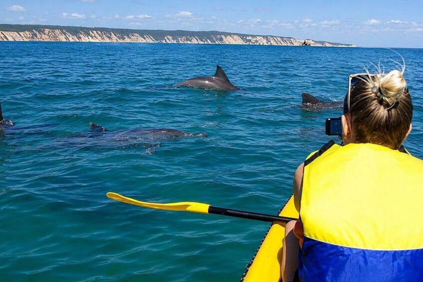 Epic Kayak With Dolphins & Wildlife - 4WD Beach Adventure Noosa 2