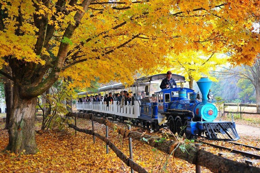 A blue train with passengers, surrounded by autumn trees with yellow leaves. 1