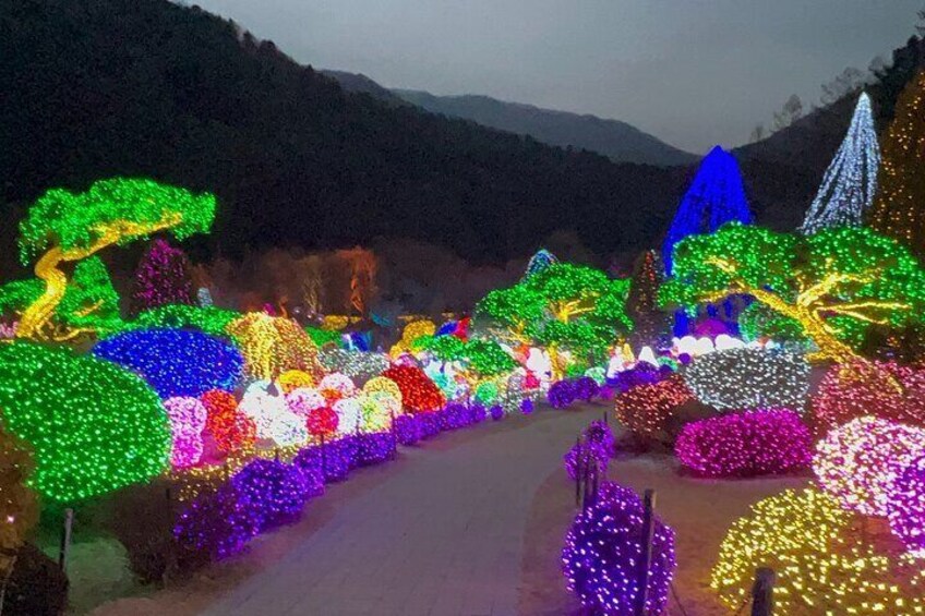 Four Seasons of Nami Island with Garden of Morning Calm Tour