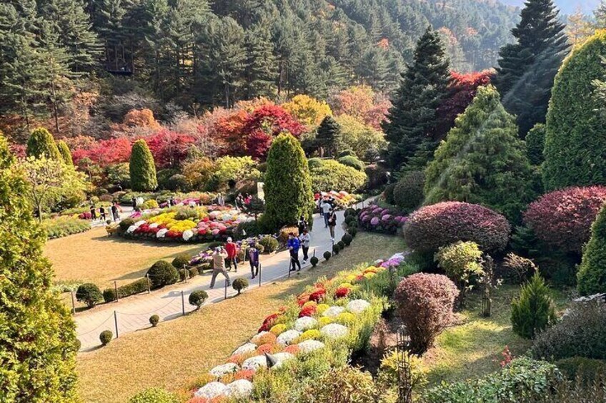 Four Seasons of Nami Island with Garden of Morning Calm Tour