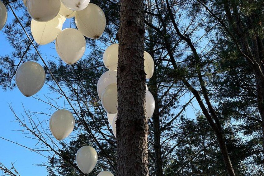 A tree with multiple white balloons tied to its branches against a clear blue sky. 2