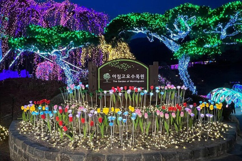 A night scene with illuminated trees and a sign reading 'The Garden of Morningglory.' 5