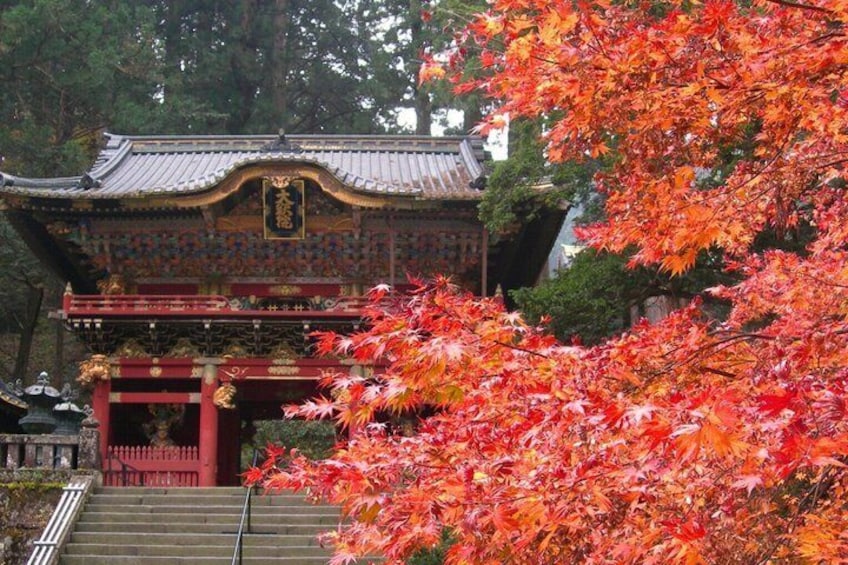 Nikko History & Nature Discovery | Private Licensed Guide &Driver 3